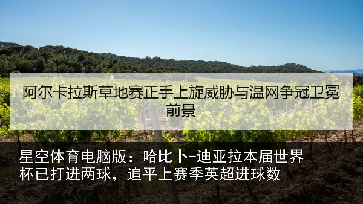 星空体育电脑版:哈比相关情况杯已打进两球,追平上赛季英超进球数