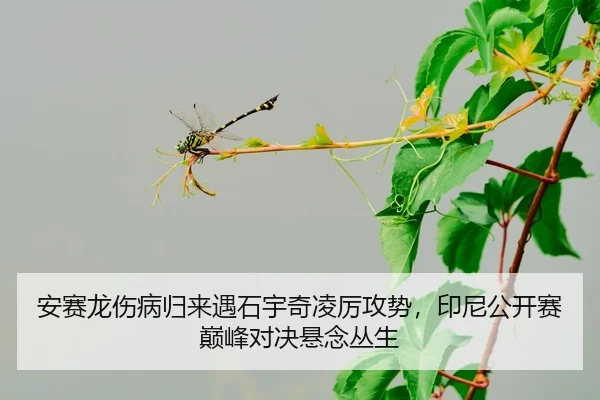 an-sai-long-shang-bing-gui-lai-yu-shi-yu-qi-ling-li-gong-shi-yin-ni-gong-kai-sai-dian-feng-dui-jue-xuan-nian-cong-sheng-2-997.jpg