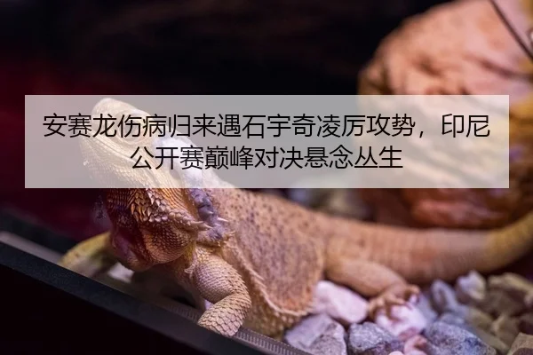 an-sai-long-shang-bing-gui-lai-yu-shi-yu-qi-ling-li-gong-shi-yin-ni-gong-kai-sai-dian-feng-dui-jue-xuan-nian-cong-sheng-3-676.jpg