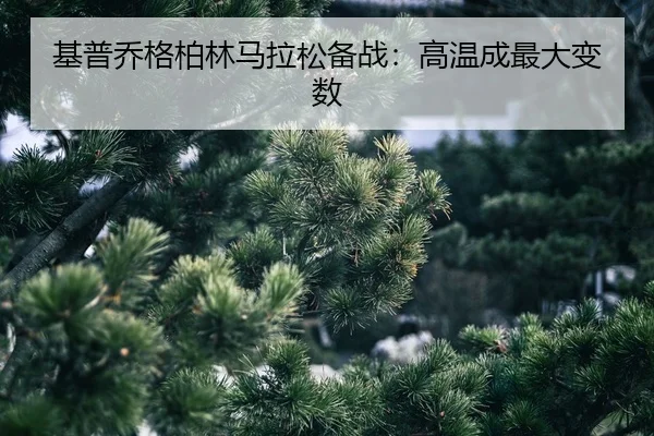 ji-pu-qiao-ge-bo-lin-ma-la-song-bei-zhan-gao-wen-cheng-zui-da-bian-shu-2-877.jpg