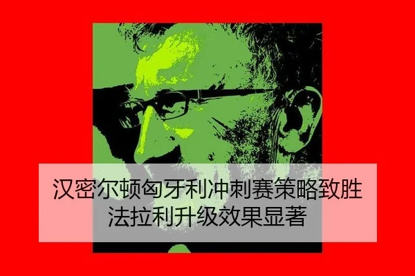 han-mi-er-dun-xiong-ya-li-chong-ci-sai-ce-lve-zhi-sheng-fa-la-li-sheng-ji-xiao-guo-xian-zhu-2-531.jpg
