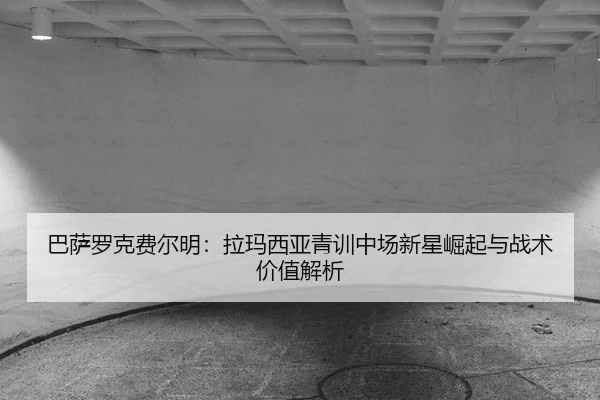 ba-sa-luo-ke-fei-er-ming-la-ma-xi-ya-qing-xun-zhong-chang-xin-xing-jue-qi-yu-zhan-shu-jia-zhi-jie-xi-1-537.jpg