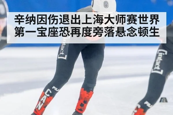 辛纳因伤退出上海大师赛世界第一宝座恐再度旁落悬念顿生